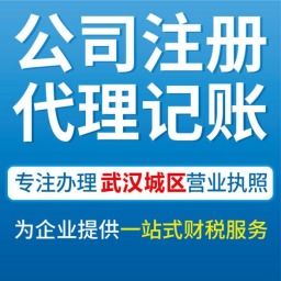 武漢青山代辦公司營業執照、工商注冊與會計服務全攻略