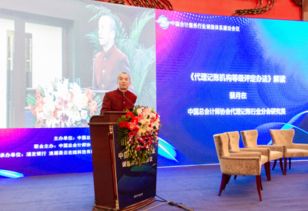 會計服務信用體系建設 信用中國官網的權威指引與實踐路徑